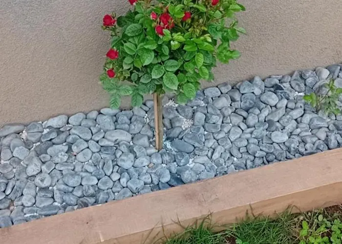 Rum i privatbostad Art In Rose