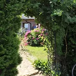 Art In Rose 卢布尔雅那