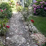 Art In Rose *