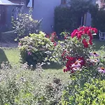 Art In Rose *