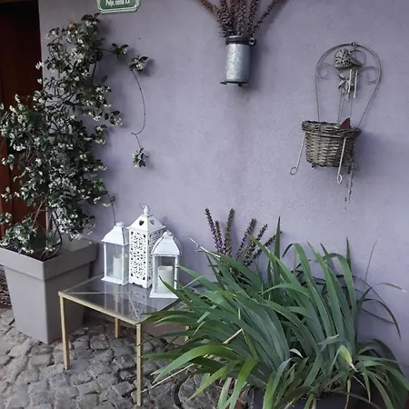 Habitación en casa particular Art In Rose Liubliana