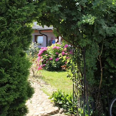 Art In Rose ليوبليانا