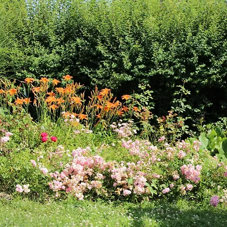 Art In Greeny Rose *