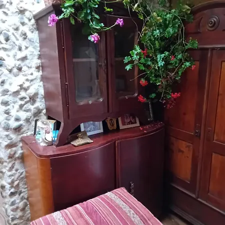 Homestay Art With Outdoor Kitchen