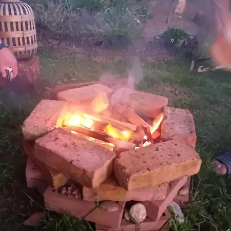 Art In Rose Ostanak kod kuće