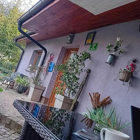 Art In Greeny Rose Nastanitev v družini *