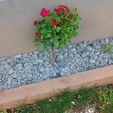 Privat bolig Art In Rose