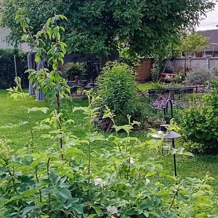 Art Room In Rose Resort