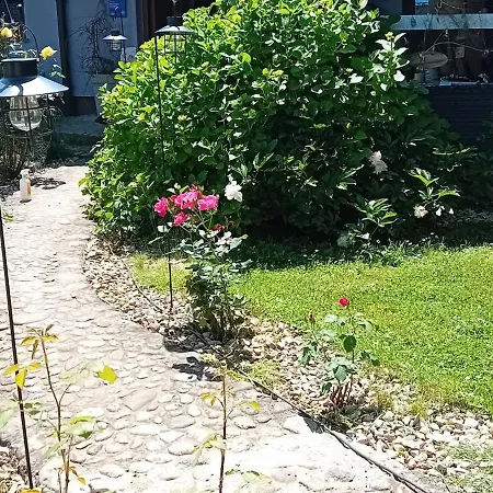 Art In Greeny Rose