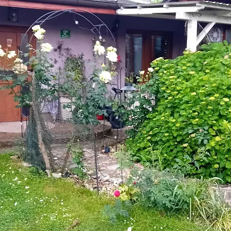 Nastanitev v družini Art In Greeny Rose