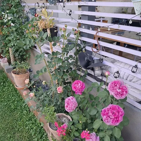 Nastanitev v družini Art In Greeny Rose Ljubljana