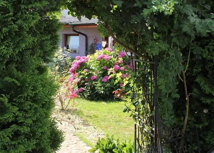 Art In Rose ليوبليانا