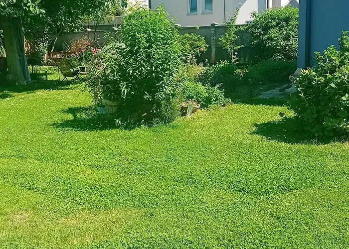 Privat bolig Art In Rose Ljubljana